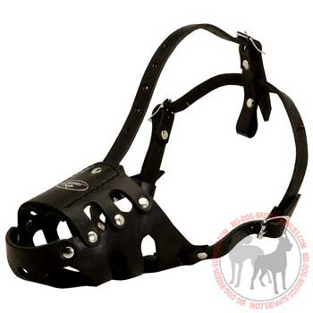 Riveted dog muzzle with adjustable straps
