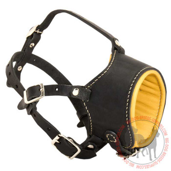 Leather Canine Muzzle for Daily Walking