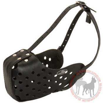 Leather dog muzzle with easy adjustable straps