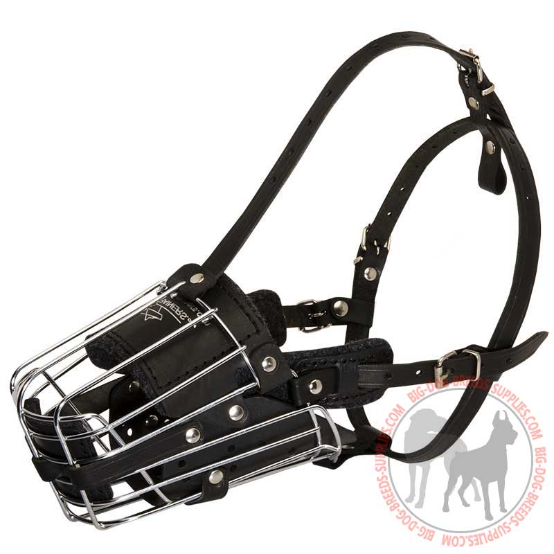 Order Metal Cage Dog Muzzle Dog Walking and Training Muzzles