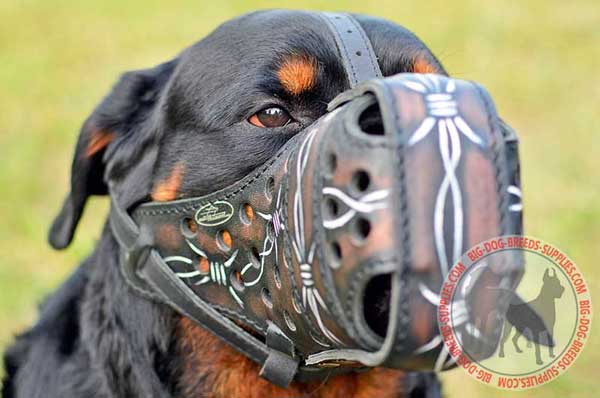 Leather Rottweiler Muzzle for Protection Training