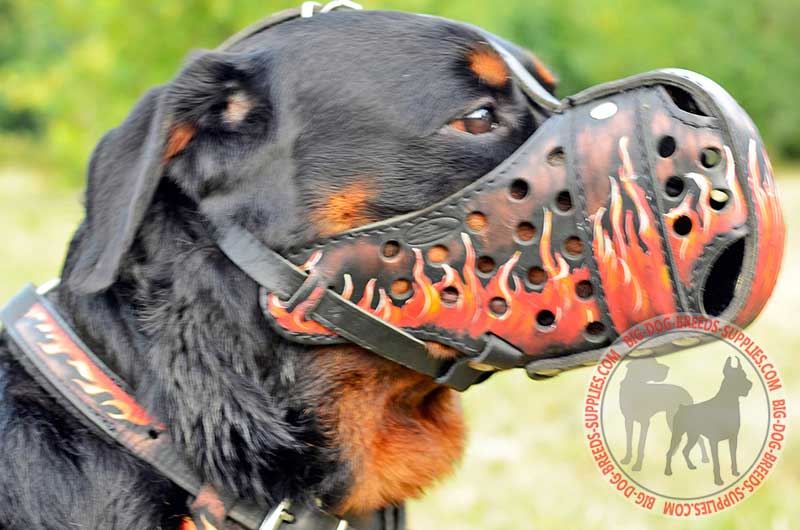 best muzzle for rottweiler