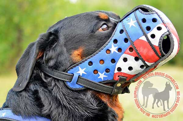 Leather Rottweiler Muzzle with Adjustable Straps