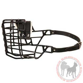 Wire basket dog muzzle with padded nose area