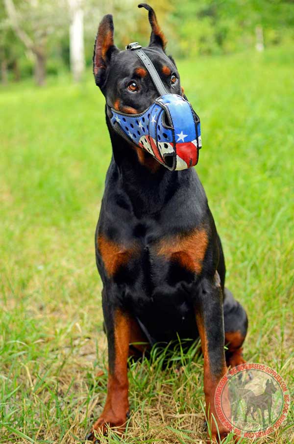 Doberman Leather Muzzle for Protection Training