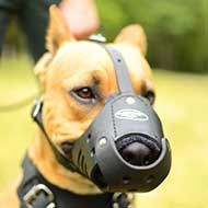 Leather Pitbull Muzzle for Anti-Barking Training