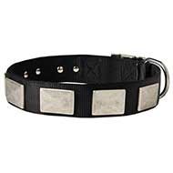 All Weather Nylon Dog Collar With Vintage Massive Plates