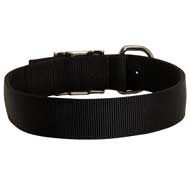 Lightweight Adjustable 2 Ply Nylon Dog Collar