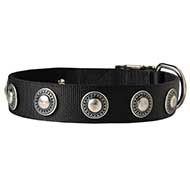 Conchos Decorated Wide Nylon Dog Collar for Walking