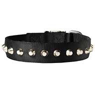 Beautiful Wide Nylon Dog Collar With Nickel Pyramids