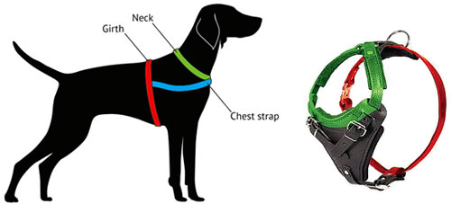 how to measure harness