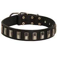 Fashion Leather Dog Collar with Vertical Nickel Plates