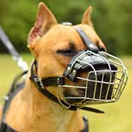 Wire Basket Pitbull Muzzle with Padded Nose Area